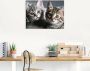 Artland Artprint Kat als artprint van aluminium artprint voor buiten artprint op linnen poster muursticker - Thumbnail 2