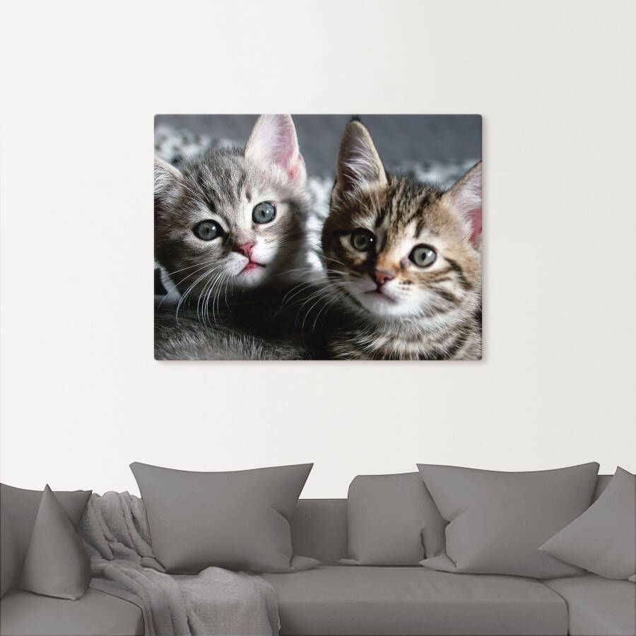 Artland Artprint Kat als artprint van aluminium artprint voor buiten artprint op linnen poster muursticker