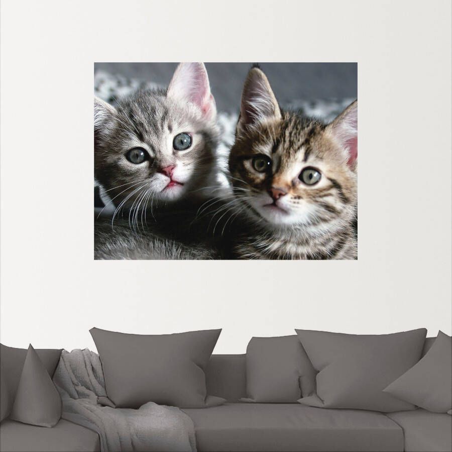 Artland Artprint Kat als artprint van aluminium artprint voor buiten artprint op linnen poster muursticker