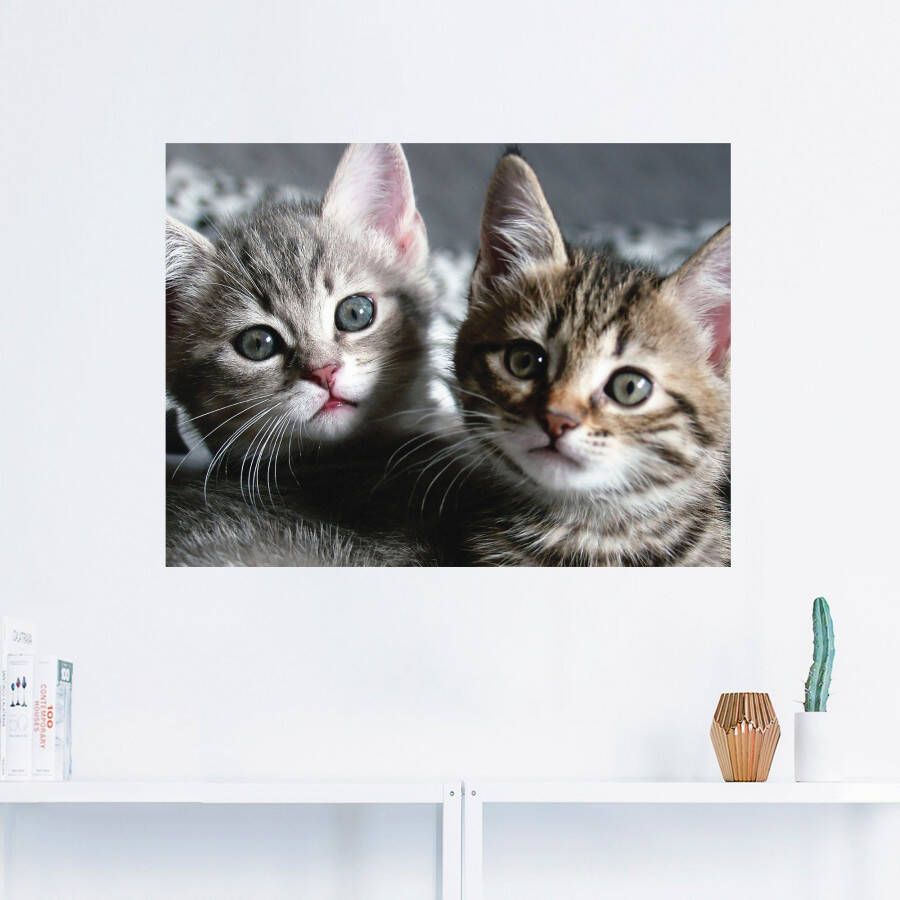 Artland Artprint Kat als artprint van aluminium artprint voor buiten artprint op linnen poster muursticker