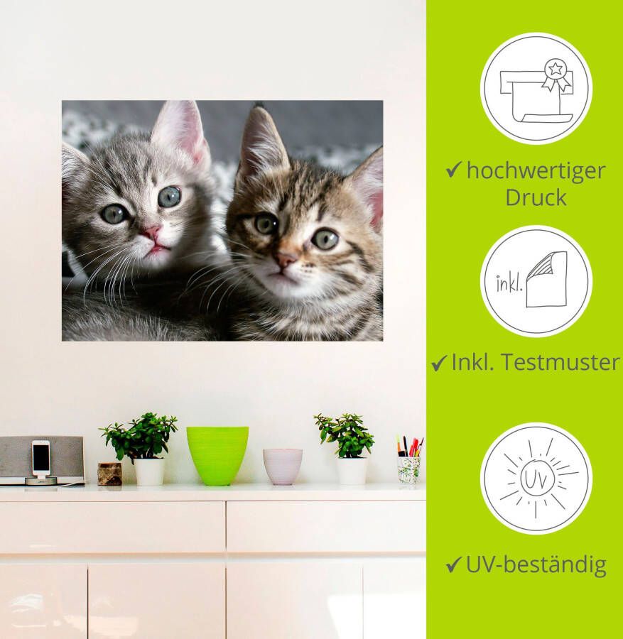 Artland Artprint Kat als artprint van aluminium artprint voor buiten artprint op linnen poster muursticker