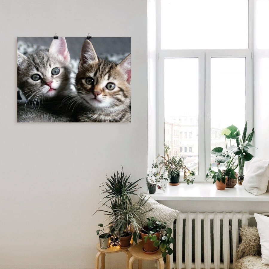 Artland Artprint Kat als artprint van aluminium artprint voor buiten artprint op linnen poster muursticker