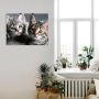 Artland Artprint Kat als artprint van aluminium artprint voor buiten artprint op linnen poster muursticker - Thumbnail 2