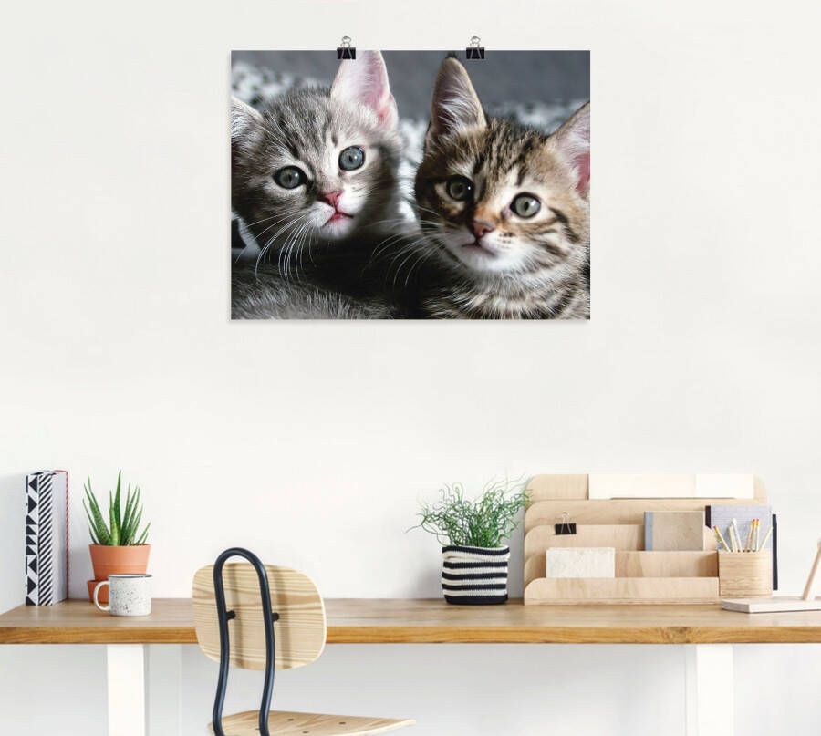 Artland Artprint Kat als artprint van aluminium artprint voor buiten artprint op linnen poster muursticker