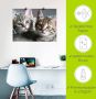 Artland Artprint Kat als artprint van aluminium artprint voor buiten artprint op linnen poster muursticker - Thumbnail 5