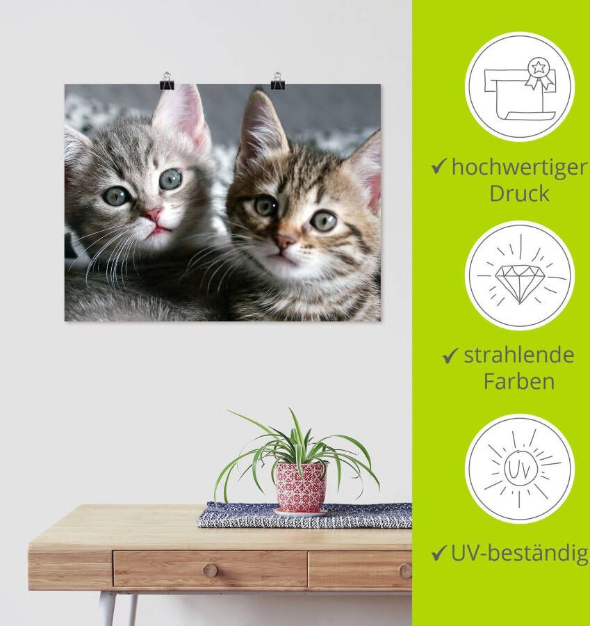 Artland Artprint Kat als artprint van aluminium artprint voor buiten artprint op linnen poster muursticker