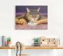 Artland Artprint Kattengejammer als artprint op linnen poster in verschillende formaten maten - Thumbnail 3