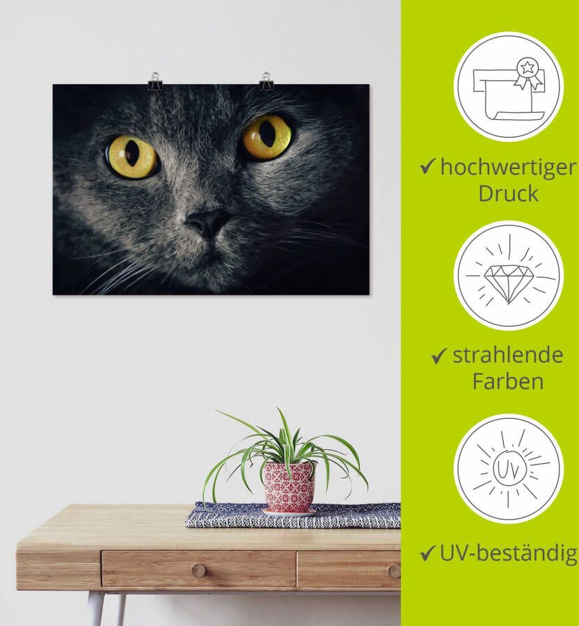 Artland Artprint Kattenogen als artprint van aluminium artprint voor buiten artprint op linnen poster in verschillende maten. maten