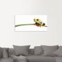 Artland Artprint Kikker op een blad als artprint van aluminium artprint voor buiten artprint op linnen poster muursticker - Thumbnail 5