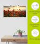 Artland Artprint Klaprozen als artprint van aluminium artprint voor buiten artprint op linnen poster muursticker - Thumbnail 5