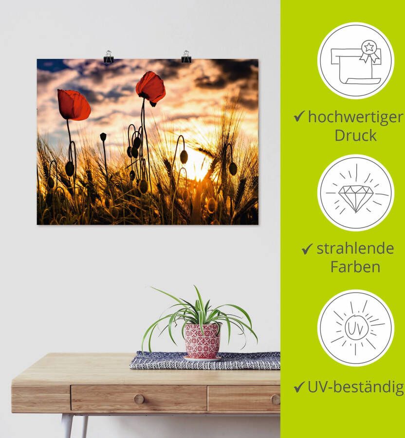 Artland Artprint Klaprozen bij zonsondergang als artprint van aluminium artprint voor buiten artprint op linnen poster muursticker