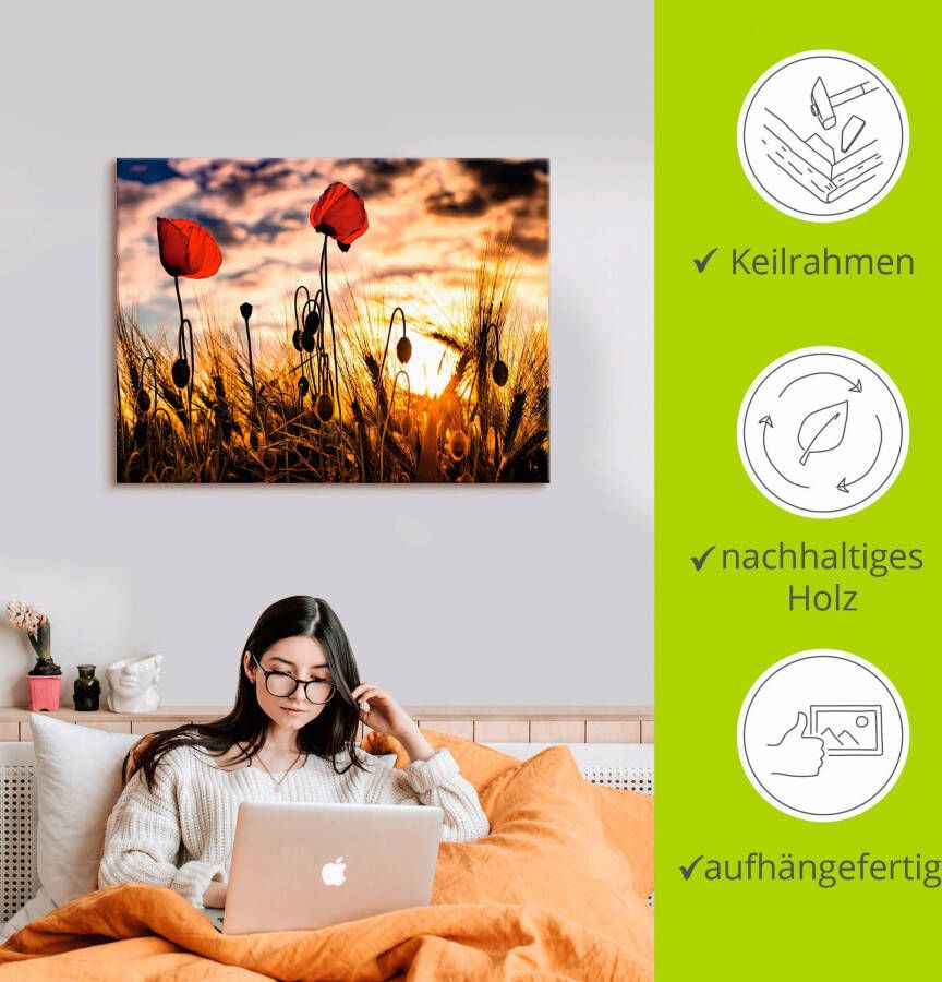 Artland Artprint Klaprozen bij zonsondergang als artprint van aluminium artprint voor buiten artprint op linnen poster muursticker