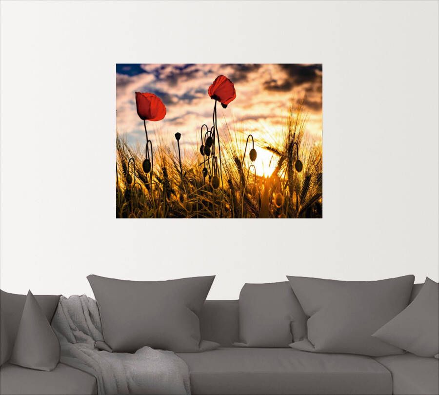 Artland Artprint Klaprozen bij zonsondergang als artprint van aluminium artprint voor buiten artprint op linnen poster muursticker