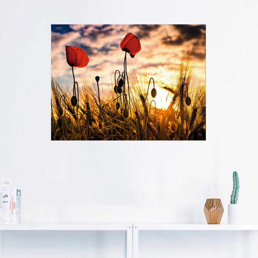 Artland Artprint Klaprozen bij zonsondergang als artprint van aluminium artprint voor buiten artprint op linnen poster muursticker