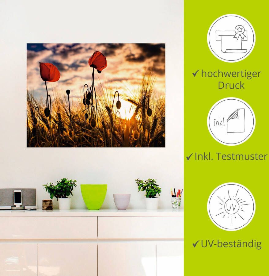 Artland Artprint Klaprozen bij zonsondergang als artprint van aluminium artprint voor buiten artprint op linnen poster muursticker