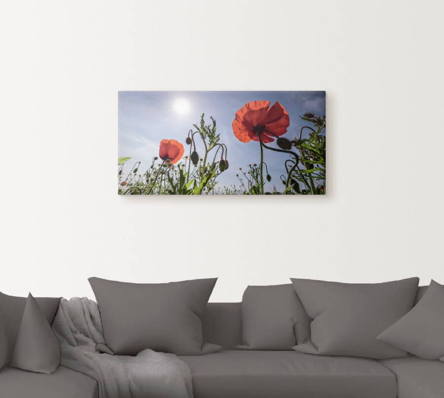 Artland Artprint Klaprozen in de lente als artprint van aluminium artprint voor buiten artprint op linnen in verschillende maten