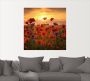 Artland Artprint Klaprozen in het avondlicht als artprint van aluminium artprint voor buiten artprint op linnen poster muursticker - Thumbnail 2