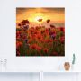 Artland Artprint Klaprozen in het avondlicht als artprint van aluminium artprint voor buiten artprint op linnen poster muursticker - Thumbnail 3