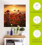 Artland Artprint Klaprozen in het avondlicht als artprint van aluminium artprint voor buiten artprint op linnen poster muursticker - Thumbnail 4