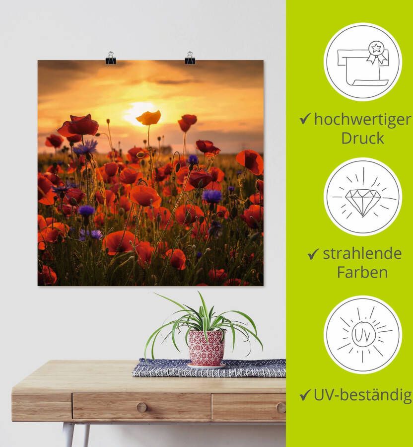 Artland Artprint Klaprozen in het avondlicht als artprint van aluminium artprint voor buiten artprint op linnen poster muursticker