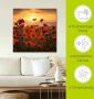 Artland Artprint Klaprozen in het avondlicht als artprint van aluminium artprint voor buiten artprint op linnen poster muursticker - Thumbnail 4