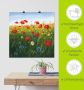 Artland Artprint Klaprozen landschap I als artprint van aluminium artprint voor buiten artprint op linnen poster in verschillende maten. maten - Thumbnail 5