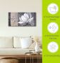 Artland Artprint Klassieke magnolia als artprint van aluminium artprint voor buiten artprint op linnen poster muursticker - Thumbnail 5