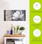 Artland Artprint Klassieke magnolia als artprint van aluminium artprint voor buiten artprint op linnen poster muursticker - Thumbnail 5