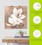 Artland Artprint Klassieke magnolia's als artprint van aluminium artprint voor buiten artprint op linnen poster muursticker - Thumbnail 6