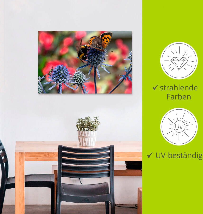 Artland Artprint Kleine vuurvlinder en hommel als artprint van aluminium artprint op linnen muursticker verschillende maten