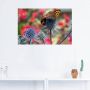 Artland Artprint Kleine vuurvlinder en hommel als artprint van aluminium artprint op linnen muursticker verschillende maten - Thumbnail 3