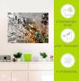 Artland Artprint Kleurrijke natuur als artprint van aluminium artprint voor buiten artprint op linnen poster muursticker - Thumbnail 5