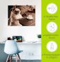 Artland Artprint Koffie mopshond als artprint op linnen poster muursticker in verschillende maten - Thumbnail 5