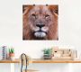 Artland Artprint op linnen Koning van de leeuwen gespannen op een spieraam - Thumbnail 2