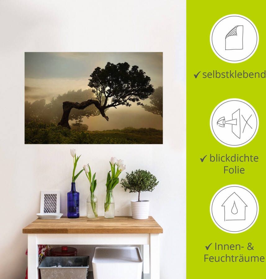 Artland Artprint Laurierboom als artprint van aluminium artprint voor buiten artprint op linnen poster muursticker