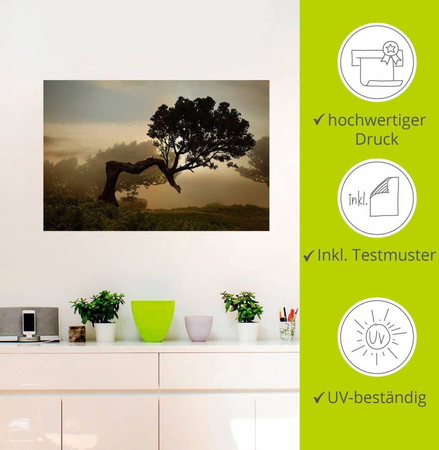 Artland Artprint Laurierboom als artprint van aluminium artprint voor buiten artprint op linnen poster muursticker