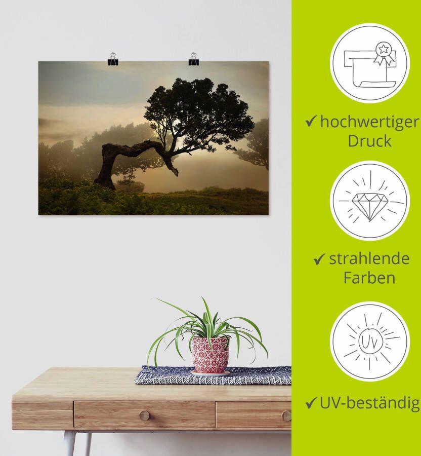 Artland Artprint Laurierboom als artprint van aluminium artprint voor buiten artprint op linnen poster muursticker