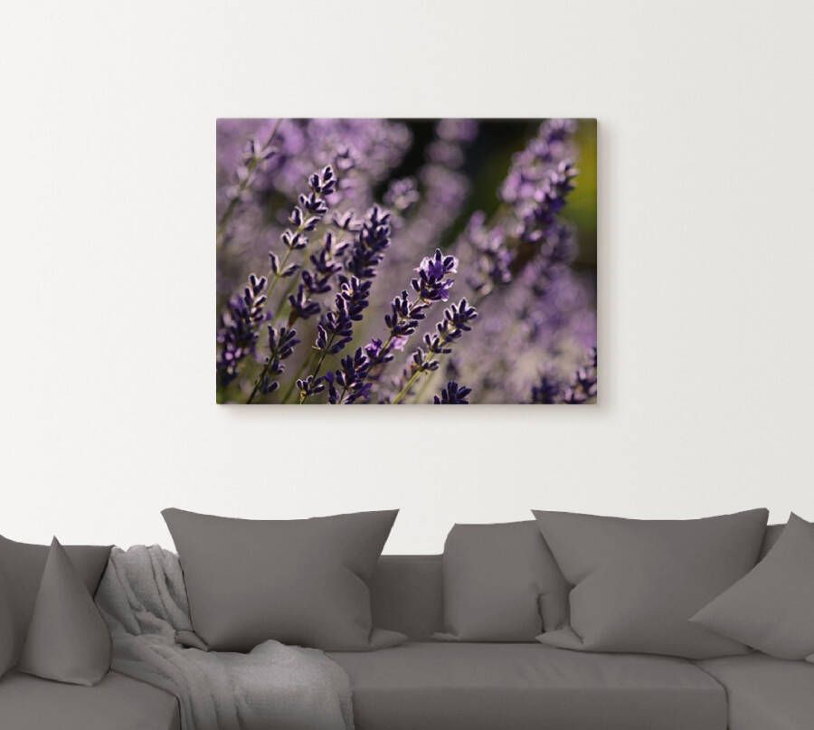 Artland Artprint Lavendel als artprint op linnen in verschillende maten