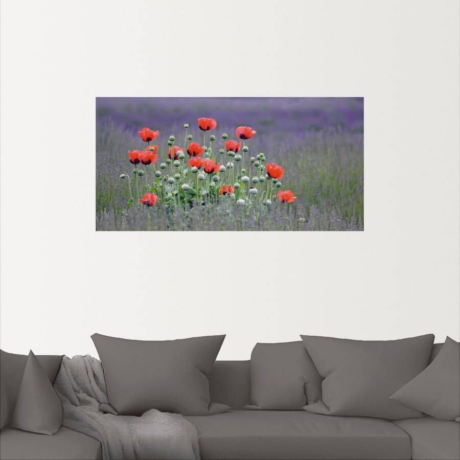 Artland Artprint Lavendel boerderij in Sequim klaprozen als artprint op linnen poster muursticker in verschillende maten