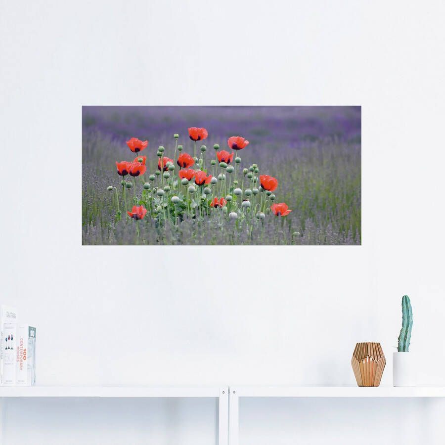 Artland Artprint Lavendel boerderij in Sequim klaprozen als artprint op linnen poster muursticker in verschillende maten