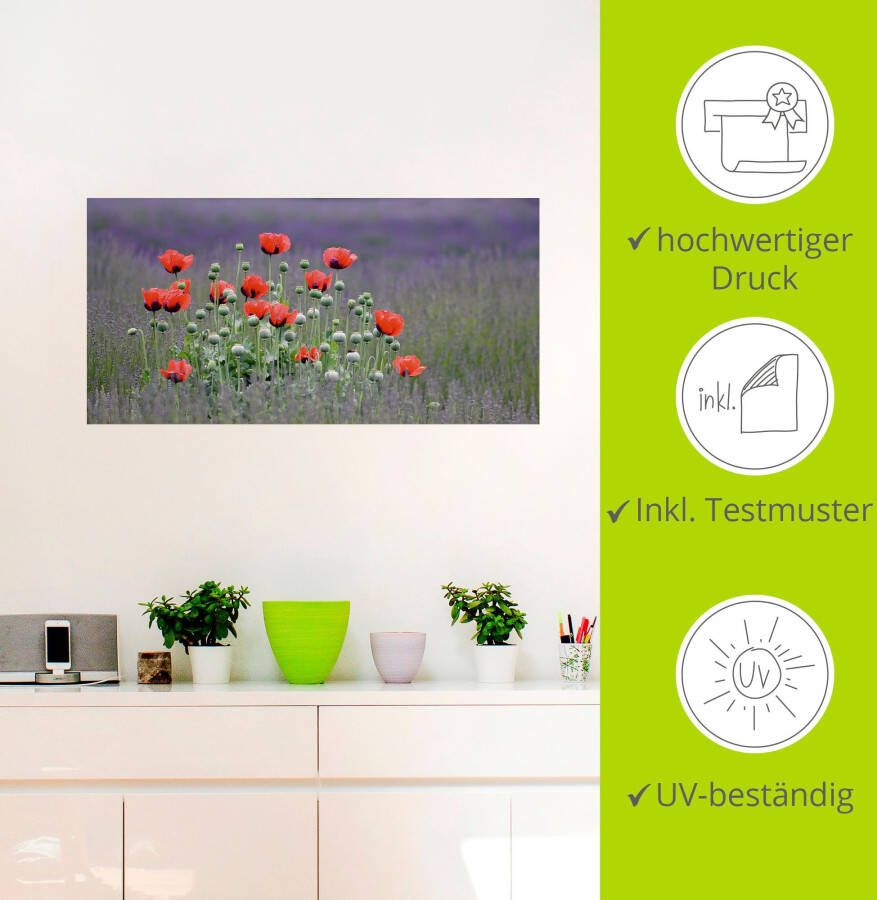 Artland Artprint Lavendel boerderij in Sequim klaprozen als artprint op linnen poster muursticker in verschillende maten