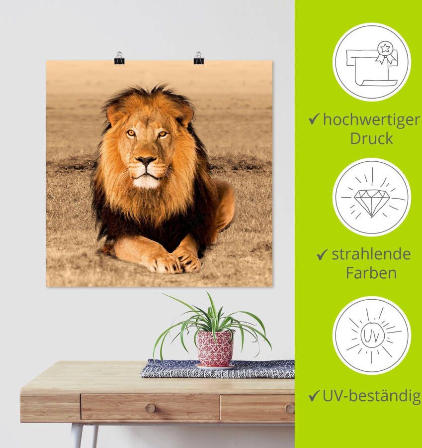 Artland Artprint Leeuw als artprint van aluminium artprint voor buiten artprint op linnen poster muursticker