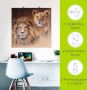 Artland Artprint Leeuwen als artprint van aluminium artprint voor buiten artprint op linnen poster muursticker - Thumbnail 5