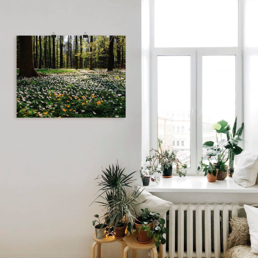 Artland Artprint Lentebos bedekt met anemonen als artprint op linnen poster in verschillende formaten maten