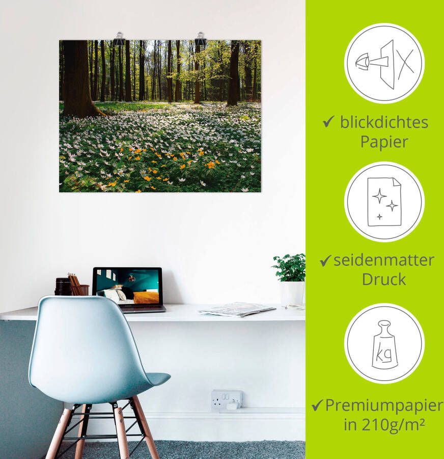 Artland Artprint Lentebos bedekt met anemonen als artprint op linnen poster in verschillende formaten maten