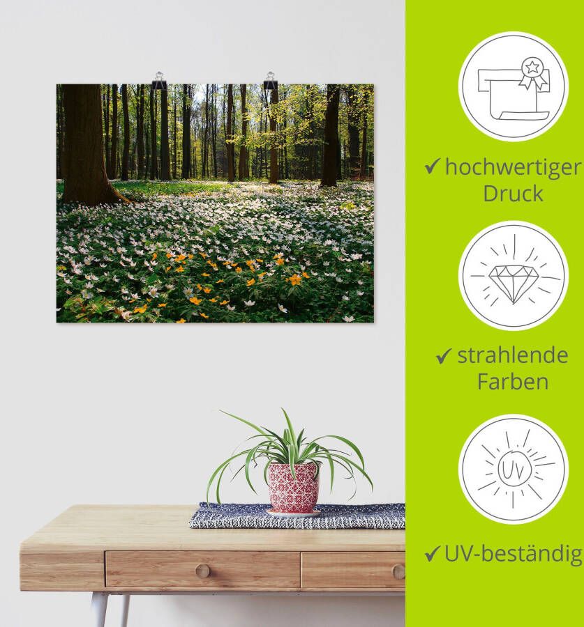 Artland Artprint Lentebos bedekt met anemonen als artprint op linnen poster in verschillende formaten maten