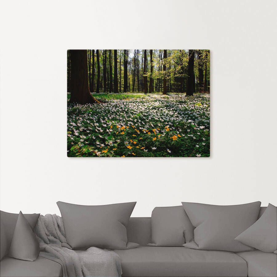 Artland Artprint Lentebos bedekt met anemonen als artprint op linnen poster in verschillende formaten maten