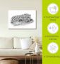 Artland Artprint Luipaard highkey look als artprint van aluminium artprint op linnen muursticker of poster in verschillende maten - Thumbnail 5