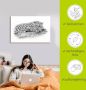 Artland Artprint Luipaard highkey look als artprint van aluminium artprint op linnen muursticker of poster in verschillende maten - Thumbnail 6