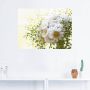 Artland Artprint Madeliefje met groen als artprint op linnen poster muursticker in verschillende maten - Thumbnail 3